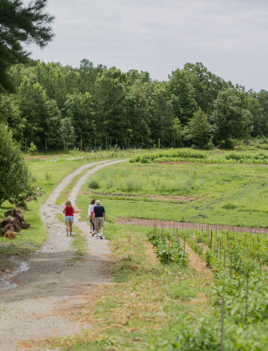 Wooded trails and nature walk